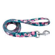 Pet Attire Leash 3/4x6