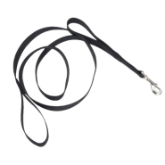 Loops 2 Dbl Handle Nyl Leash 1" x 6