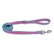 Pro Reflective Dog Leash Fuchsia w/Teal 1"x6