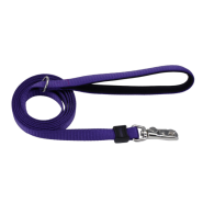 Inspire Leash 5/8"x6