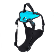 Inspire Harness 5/8"x16-24" SM Aqua