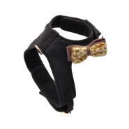 Accent Microfiber Harness Black w/Leopard Bow SM