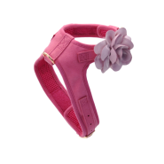 Accent Microfiber Harness Posh Pink w/Flower MED