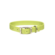 DoublePly Standard Nylon Collar 1x18" Lime