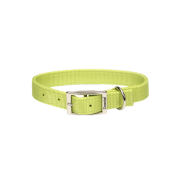 DoublePly Standard Nylon Collar x 20" Lime