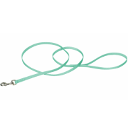 Coastal Single-Ply Leash Teal 3/8"x4