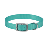 Coastal Single-Ply Collar Teal 3/8x10"