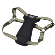 K9 Explorer Reflective Adj Padded Harness 5/8x12-18" Fern