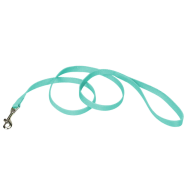 Coastal Single-Ply Leash Teal 5/8"x4