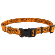 Celebration Dog Collar OrngSpiderwebs Lrg 1"x18"-26"