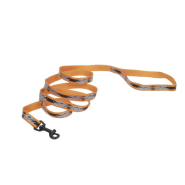 HD Nyl Leash 5/8"x6