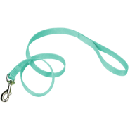 Coastal Single-Ply Leash Teal 3/4"x4