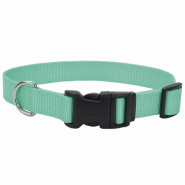 Coastal Adj. Collar w/Plastic Buckle Teal 1x14-20"