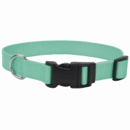 Coastal Adj. Collar w/ Plastic Buckle Teal 3/4x14-20"