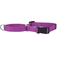 No Slip Martingale Adj. Collar w/Buckle Orchid 3/8x10-12"