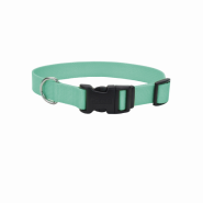 Coastal Adj. Collar w/Plastic Buckle Teal 1x18-26"