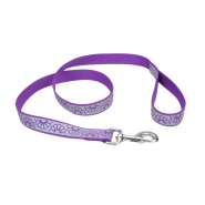 LazerBrite Reflective Leash 1"x6