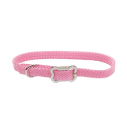 Sunburst Collar w/Bone Buckle Bright Pink 3/8x10"