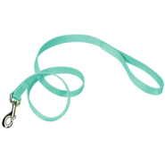 Coastal Single-Ply Leash Teal 1"x6