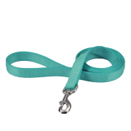 Coastal Double-Ply Leash Teal 1"x4