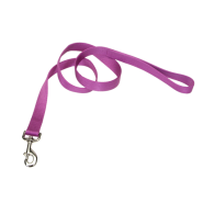 Nylon Leash 1 x 4