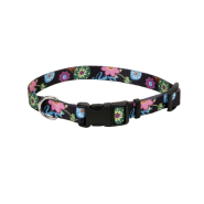 Pet Attire Adj Collar 1x18-26" Wild Flower