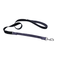 Coastal Bungee Nylon Leash 1" x 4