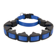 Coastal Natural Control Training Collar Blue 1"x16"