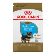 RC BHN Yorkshire Terrier Puppy 2.5 lb