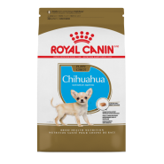 RC BHN Chihuahua Puppy 2.5 lb