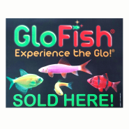 GloFish Sold Here Window Cling