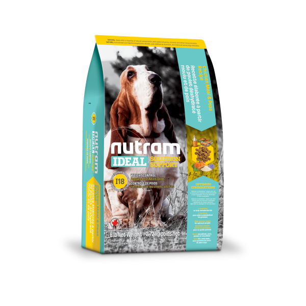 plastic dog kennel sizes