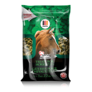 Martin Special Moments Horse Treats Peppermint 1 kg