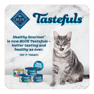 Blue Cat Tastefuls Window Cling 12x12"