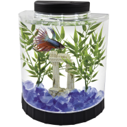 Tetra LED Half Moon Betta Kit 1.1 gal