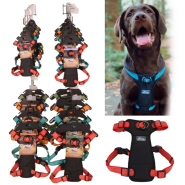 K9 Explorer Brights Six Color Harness Display