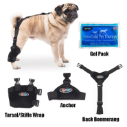 Caldera Pet Therapy Wrap w/Gel Insert Tarsal/Stifle Sm