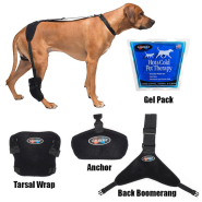 Caldera Pet Therapy Wrap w/Gel Insert Tarsal Lg